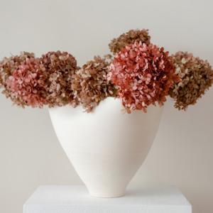 Preserved Hydrangeas: Limelight BLUSH | Medium