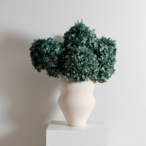 Preserved Hydrangeas: Limelight BLUE | Medium