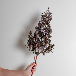 Preserved Hydrangeas: Candlelight GREY LILAC | Large STEM