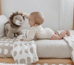 Baby Shower Gift Boxes Nz: Lion Toy