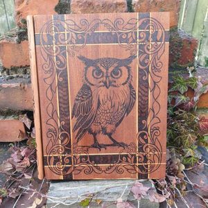 Owl Book Safe - Burnt Offerings