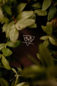 Products: Earth Journal - Gorgeously designed in NZ - Journals. Self-discovery. Astrology. Connection. Workshops. Purpose