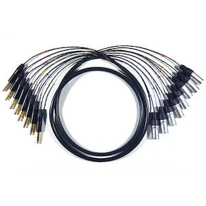 8 Way TRS to XLR Male Loom