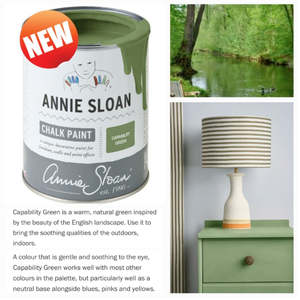ANNIE SLOAN CHALK PAINT®️ CAPABILITY GREEN