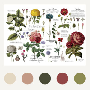 DECOR TRANSFER® - VINTAGE BOTANICAL