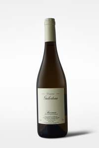 White: Domaine Guiberteau Saumur Blanc 2023