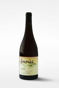 Amoise Gris 2024