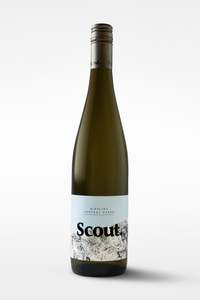 Gifts 30 And Under: Scout Riesling 2024
