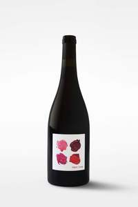 Chilled Reds: 15 Minute Bottles Test Pots Pinot Noir 2023