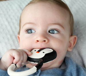 Nui the Penguin Teether chalk + cheese