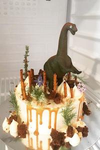 Kids Cakes: Dinosaurs, 3 layer cake