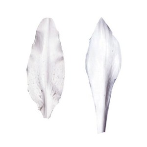 Products: Petal Veiners