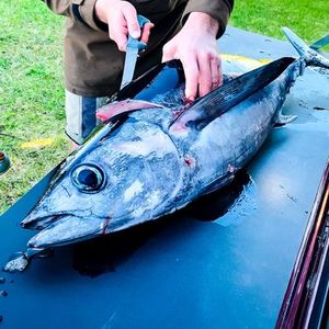 Toyota Hilux SR5 2012 to 2018