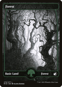 Forest (MID-276) [Innistrad: Midnight Hunt]: (Full Art, Showcase) Foil