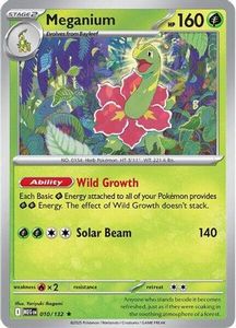 Meganium 10 - [ME01 Mega Evolution] Holofoil