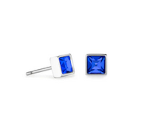 Bright Blue Stud Earrings