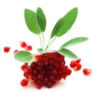 Pomegranate and Sage Fragrance Oil - Candle Creations