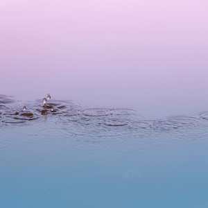 Products: Rain Water Fragrance Oil - Candle Creations