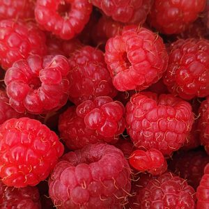 Raspberry Fragrance Oil - Candle Creations