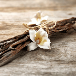Products: Vanilla Woods Fragrance Oil - Candle Creations