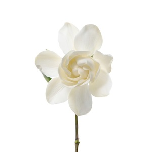 Vintage Gardenia Fragrance Oil - Candle Creations