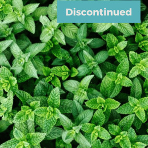 Spearmint Fragrance Oil - Candle Creations