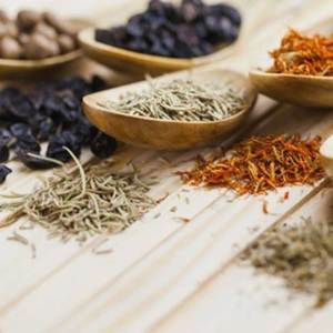 White Sandalwood & Cedar Fragrance Oil - Candle Creations