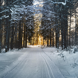 Evening Snow Fragrance Oil - Candle Creations