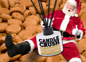 Reed Diffusers: Santa Claus's Gingernuts Reed Diffuser