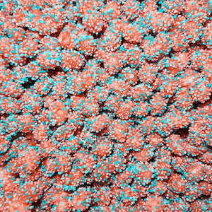 Freeze Dried Berry Busters