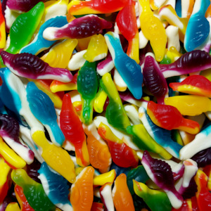 Mayceys: Mayceys Slimey Snails 230pcs