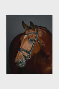 Bridles Reins Bits: COLLEGIATE COMFITEC OPULUX PLAIN PADDED HANOVERIAN FLASH BRIDLE