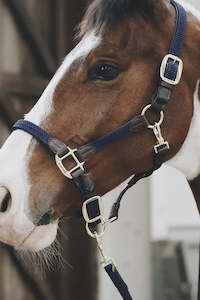 Halters: Kentucky PLAITED NYLON HALTER
