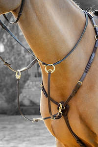 LeMieux Breastplate (D-Ring Attachment) Havana/Brass