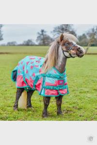 Ponyo 1: PONYO WATERMELON 100GM