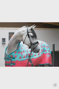 PONYO STABLE RUG 250GM