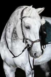 PS of Sweden Nirak Brown