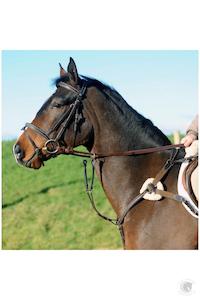 Breastplates: John Whitaker Valencia 5 Point Breast Plate