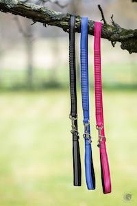 Lemieux Pet: LeMieux Dog Lead Henley