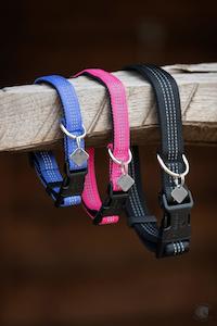 Lemieux Pet: LeMieux Dog Collar Henley