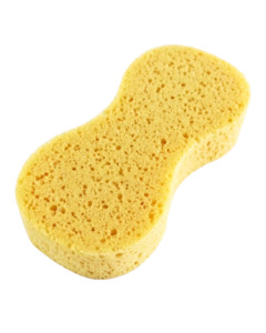 Gear: Sponge