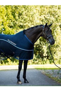 PS of Sweden Cooling Rug