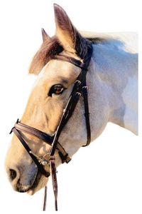 Etoile: Étoile Comfort Bridle with Flat Padded Browband