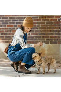 Footwear: Blundstone Chelsea Boots - Rustic Brown (Model 585)