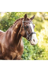 Lumiere: Lumiere 'Anastasia' Convertible Bridle - Brown