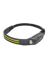 Woof Wear Head Torch