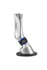 Horse Boots And Polos: Veredus Pro Wrap Magnetik - Pair