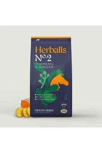 Hilton Herbs Tumeric & Ginger No.2 - 500g treat