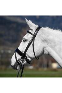 Bridles 1: Amerigo Vespucci Patent Dressage Snaffle Bridle