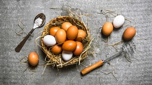 Eggs: 12 packs  Free Range Eggs